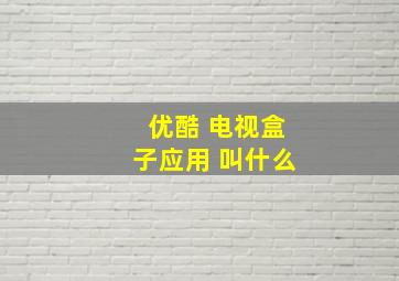 优酷 电视盒子应用 叫什么